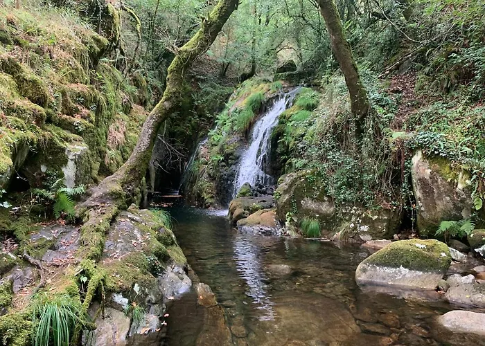 Albergue Ponte Olveira *